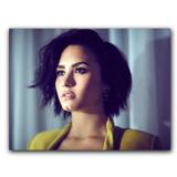 Placa MDF 20 cm x 30 cm - Demi Lovato (BD12) - Bd cases