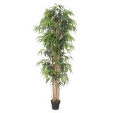 Planta Bambu Caule Natural Permanente 210cm - Akz home