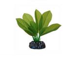 Planta Eva Soma Anubia Cordifolia - Soma fish