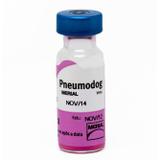 Pneumodog - Bcs