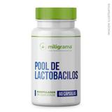 Pool de Lactobacilos Mantém a Flora Intestinal Saudável 60 Cápsulas - Miligrama