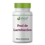 Pool De Lactobacilos - Natural essência