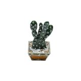 Porta-Jóias De Zamac Cactos 5X5X9Cm - Prestige