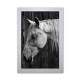 Pôster Decorativo Prolab Gift Cavalo Moldura Branca