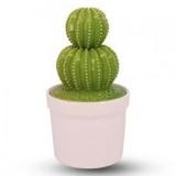 Pote de Cerâmica com Tampa Cacto - Decorafast