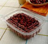 POTE DESCARTÁVEL 250ml RETANGULAR COM TAMPA ARTICULADA GA88 COM 200 - Galvanotek