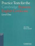 Practice tests for the cambridge business english certificate - level one - Cambridge audio visual book teacher