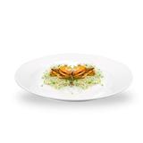 Prato Raso de Refeição Melamina 100 Profissional - Gourmet mix