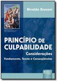 Principio da culpabilidade - consideracoes - funda - Jurua