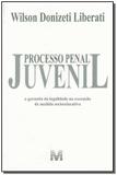 Processo penal juvenil - 1 ed./2008