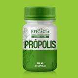 Própolis 500 mg - 60 cápsulas - 30