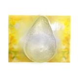 Prótese Mamária Transparente de Silicone SiligelMama Orthopauher
