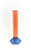 Proveta Graduada Vidro Com Base Polietileno 50Ml Ronialzi