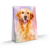 Quadro Cachorro Labrador Colorido Arte Aquarela Tela 60x40 - Bimper