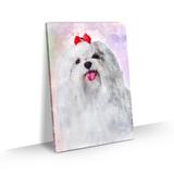 Quadro Cachorro Maltês Pelo Longo Colorido Aquarela 60x40 - Bimper