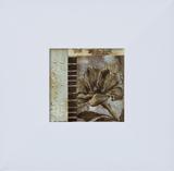 Quadro de Flores Southern Living II Arte de Hakimipour-Ritter 30x30cm - Decore pronto