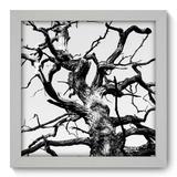 Quadro Decorativo - Árvore - 22cm x 22cm - 043qnpab - Allodi