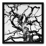 Quadro Decorativo - Árvore - 50cm x 50cm - 043qnpcp - Allodi