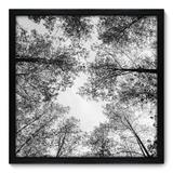Quadro Decorativo - Árvore - 50cm x 50cm - 054qnpcp - Allodi