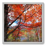 Quadro Decorativo - Árvore - 50cm x 50cm - 061qndcb - Allodi