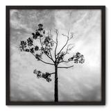 Quadro Decorativo - Árvore - 70cm x 70cm - 014qnpdp - Allodi