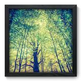 Quadro Decorativo - Árvores - 33cm x 33cm - 046qnpbp - Allodi