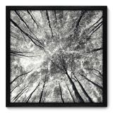 Quadro Decorativo - Árvores - 50cm x 50cm - 036qnpcp - Allodi