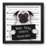 Quadro Decorativo - Bad Pug - 33cm x 33cm - 047qdsp - Allodi