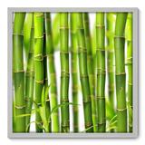 Quadro Decorativo - Bambu - 70cm x 70cm - 009qnddb - Allodi