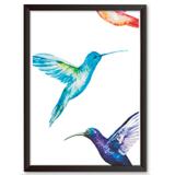 Quadro Decorativo - Beija Flor Colorido - 46x34cm - Cool art