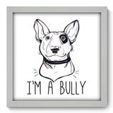 Quadro Decorativo - Bully - 33cm x 33cm - 135qdsb - Allodi