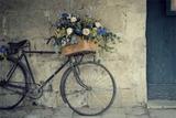 Quadro Decorativo Canvas Retro para Quartos Casas de CampoVintage Bicycle I - Incasa design