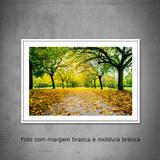 Quadro decorativo com fotografia tamanho 30 x 40 cm Paisagem no Jardim Botânico em Milão na Itália - Colours creative photo decor