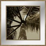 Quadro Decorativo com Margem de Vidro Transparente Tropical Palmeira 80x80cm - Decore pronto
