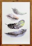 Quadro Decorativo com Moldura Rústica Ilustração Penas Coloridas 40x60cm - Decore pronto