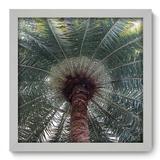 Quadro Decorativo - Coqueiro - 33cm x 33cm - 043qndbb - Allodi