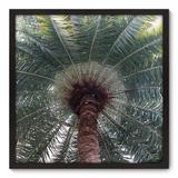 Quadro Decorativo - Coqueiro - 70cm x 70cm - 043qnddp - Allodi