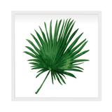 Quadro Decorativo Desert Branco - Kapos