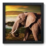 Quadro Decorativo - Elefante - 33cm x 33cm - 124qdsp - Allodi