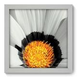Quadro Decorativo - Flor - 22cm x 22cm - 007qnfab - Allodi