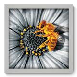Quadro Decorativo - Flor - 33cm x 33cm - 009qnfbb - Allodi