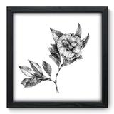 Quadro Decorativo - Flor - 33cm x 33cm - 017qnfbp - Allodi
