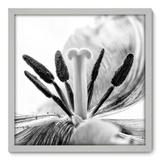 Quadro Decorativo - Flor - 50cm x 50cm - 008qnfcb - Allodi