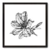 Quadro Decorativo - Flor - 70cm x 70cm - 018qnfdp - Allodi