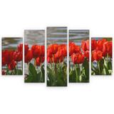 Quadro Decorativo Flor Tulipa Vermelha em Mdf - Rcs decorações