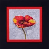 Quadro Decorativo Flor Vermelha Sobre Papel Escrito 50x50cm DP066 - Decore pronto