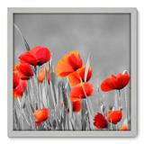 Quadro Decorativo - Flores - 50cm x 50cm - 020qnfcb - Allodi