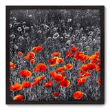 Quadro Decorativo - Flores - 70cm x 70cm - 022qnfdp - Allodi