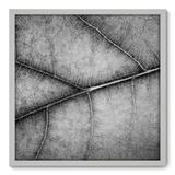 Quadro Decorativo - Folha - 70cm x 70cm - 029qnddb - Allodi