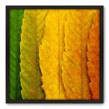 Quadro Decorativo - Folhas - 70cm x 70cm - 034qnddp - Allodi